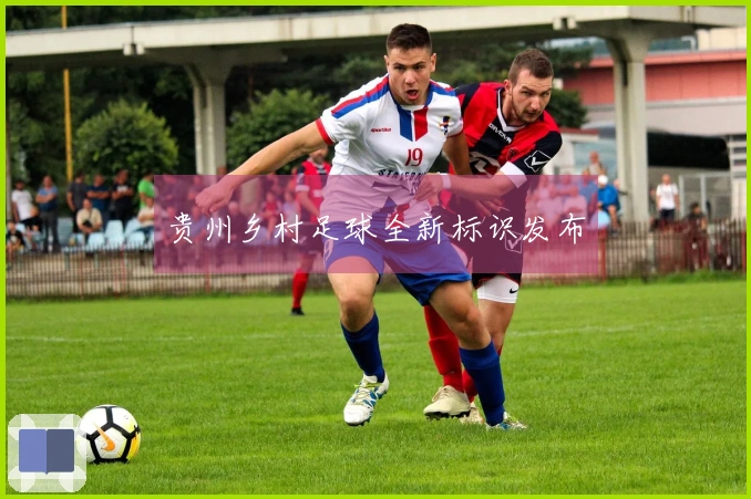 贵州乡村足球全新标识发布